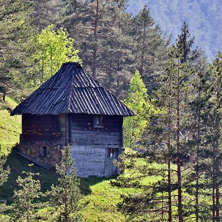 Sedmica Zlatibor Vip Bogic 아파트 외부 사진