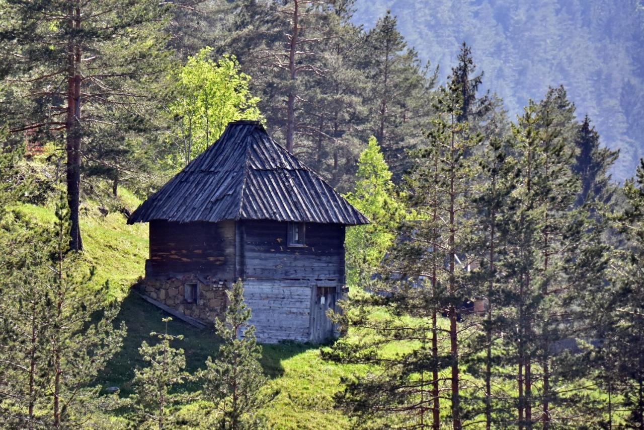 Sedmica Zlatibor Vip Bogic 아파트 외부 사진
